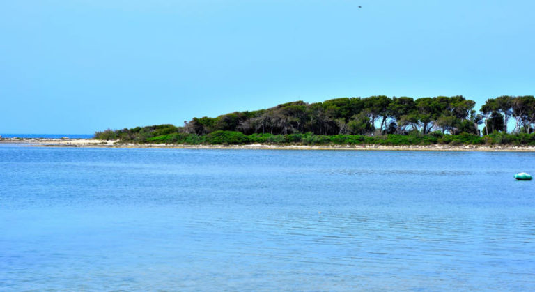 Perchè Si Chiama Isola Dei Conigli