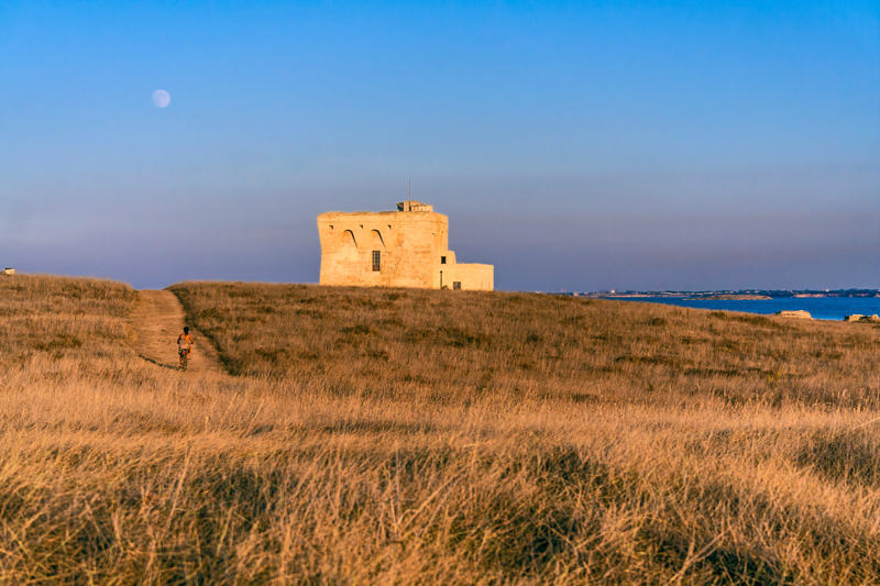 riserva naturale torre guaceto